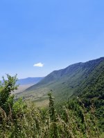IMG_20250222_115805.jpg