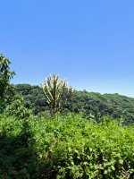 IMG_20250222_120307.jpg