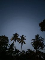 IMG_20250222_192820.jpg