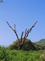 IMG_20250223_095239.jpg