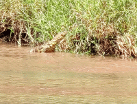 IMG_20250223_114348-ANIMATION.gif