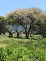 IMG_20250223_120126.jpg