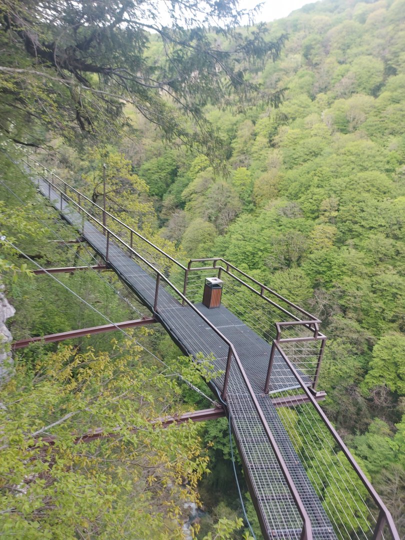 20250413_181734.jpg