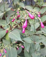 IMG_20250225_070528.jpg