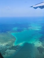 IMG_20250225_101732.jpg