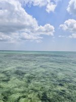 IMG_20250225_142653.jpg