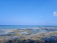 IMG_20250226_081813.jpg