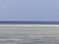 IMG_20250226_083105.jpg