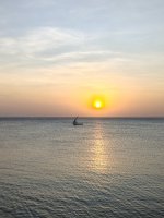 IMG20250226183106.jpg