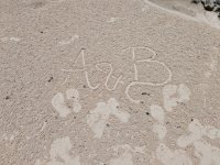 IMG_20250227_120736.jpg