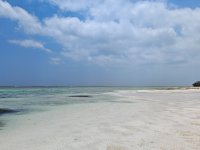 IMG_20250227_122943.jpg
