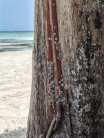 IMG_20250227_123938.jpg