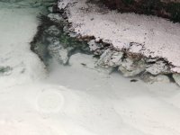 IMG_20250227_130549.jpg