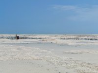 IMG_20250301_113547.jpg