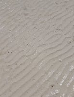 IMG_20250301_113744.jpg