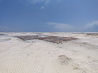 IMG_20250301_113818.jpg