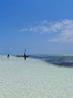 IMG_20250301_115657.jpg