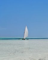 IMG_20250301_122320.jpg