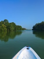 IMG_20250302_165829.jpg