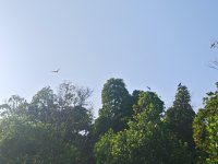 IMG_20250302_171704.jpg