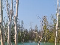IMG_20250302_173047.jpg