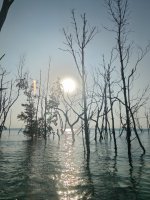 IMG_20250302_173401.jpg