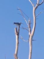 IMG_20250302_173634.jpg