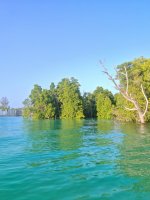 IMG_20250302_174314.jpg