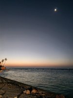 IMG_20250304_191539.jpg