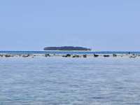 IMG_20250305_113957.jpg