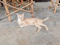 IMG_20250306_081653.jpg