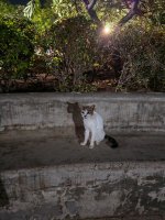 IMG_20250306_195623.jpg