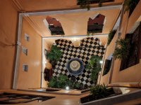 IMG_20250306_220131.jpg