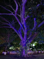 IMG_20250307_200903.jpg