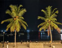 IMG_20250307_211918.jpg