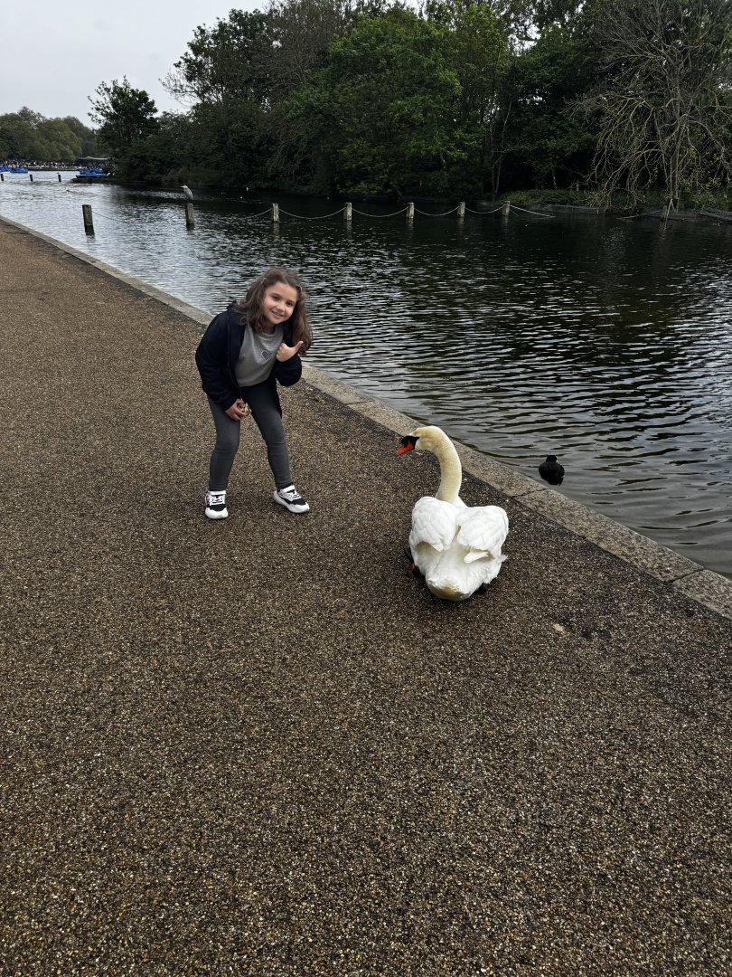 IMG_6564.jpeg