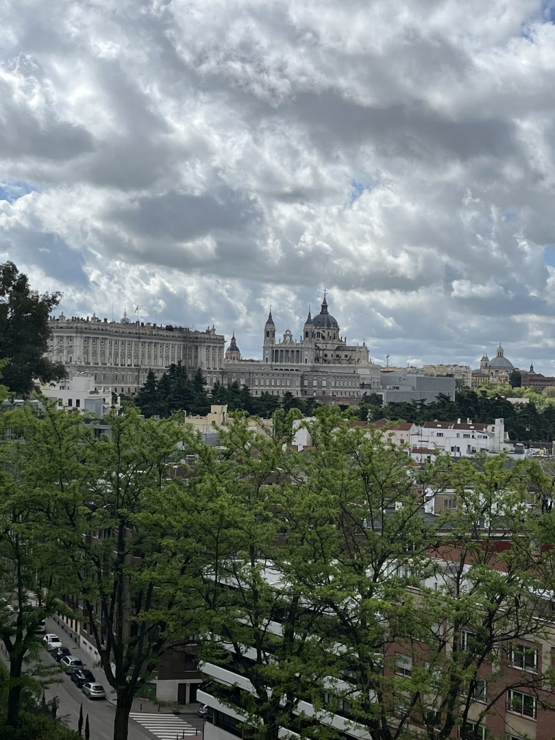 IMG_3084.jpeg