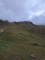 20250322_084337.jpg