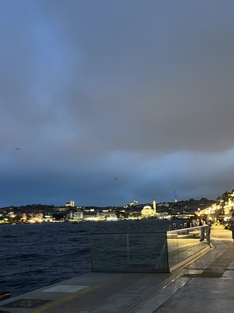 IMG_2916.jpeg