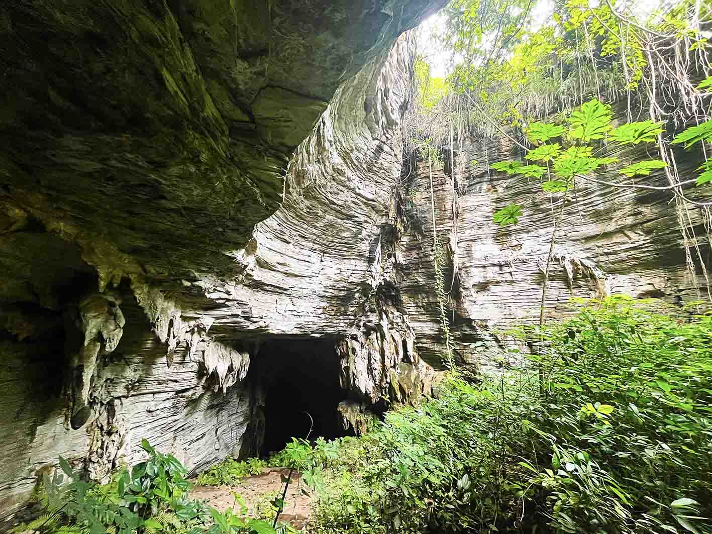 (495).jpg