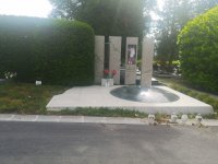 IMG_20250517_092836.jpg