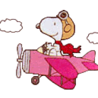 IMG_7149.GIF