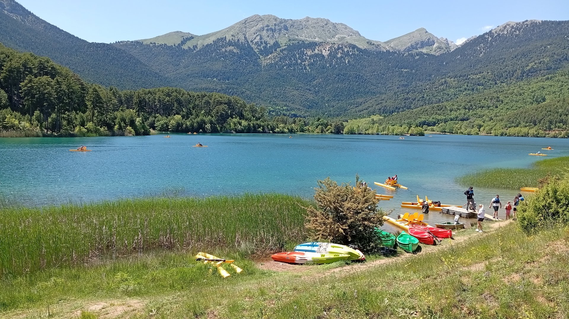 IMG_20250518_144443.jpg