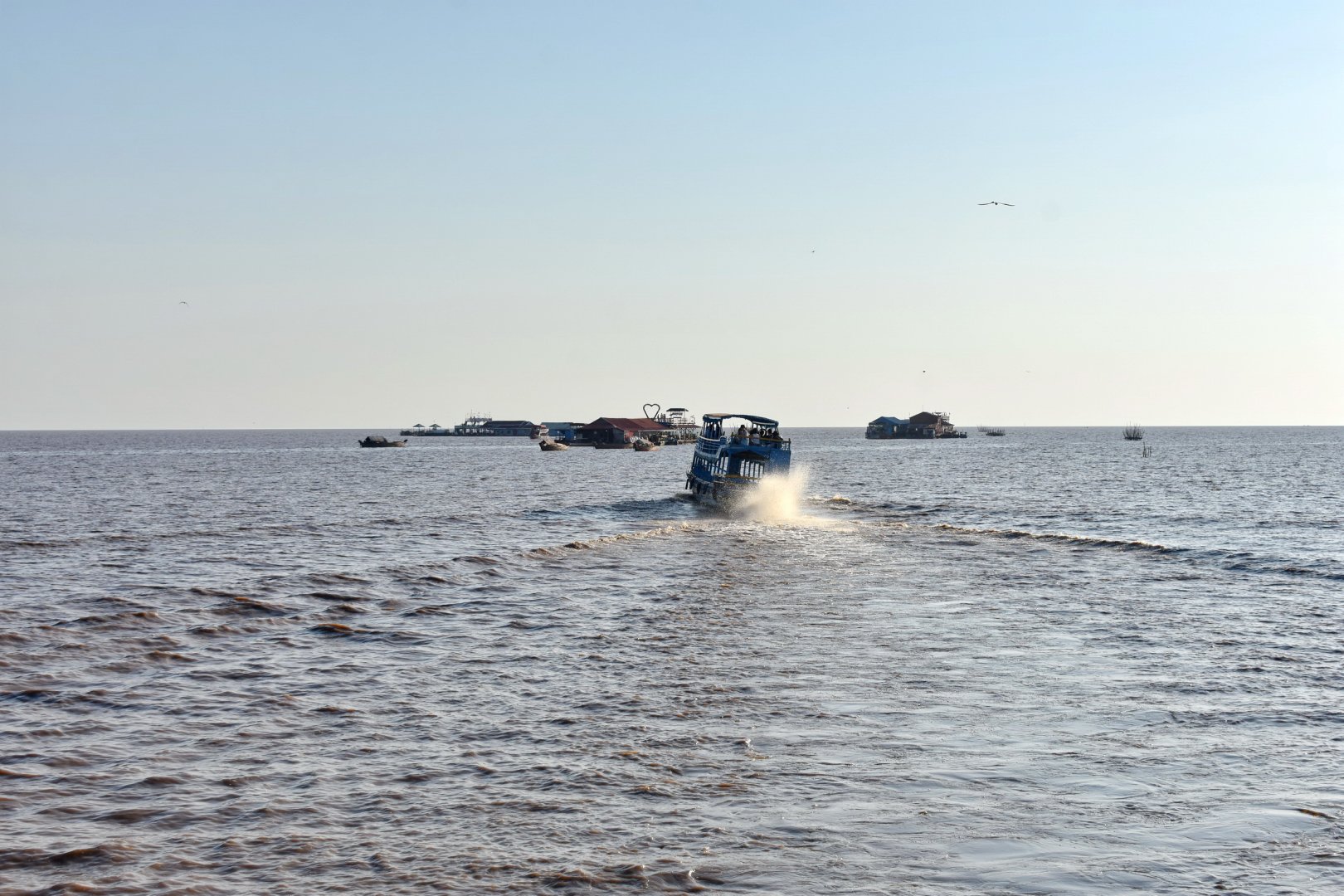 DSC_0521.JPG