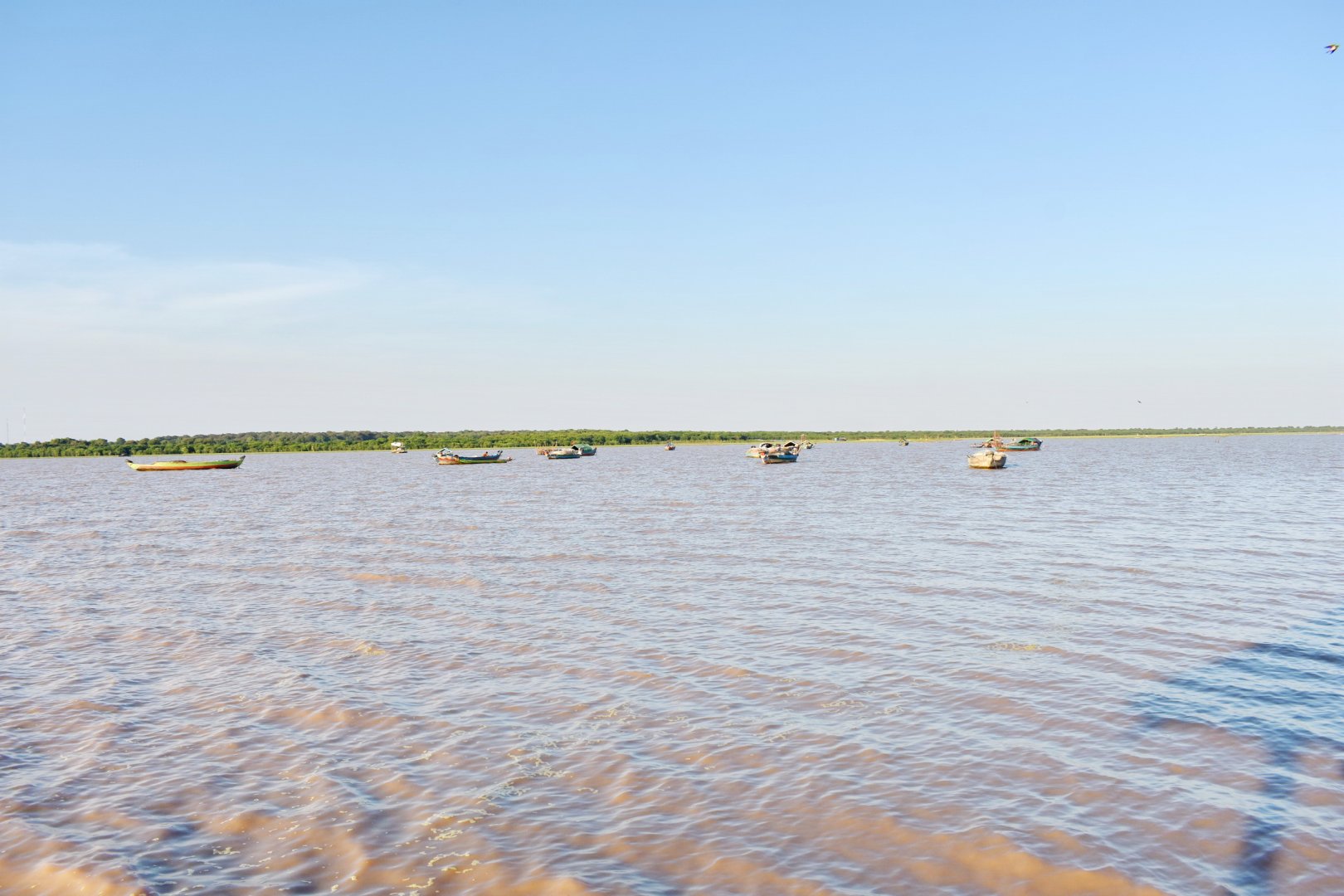 DSC_0542.JPG