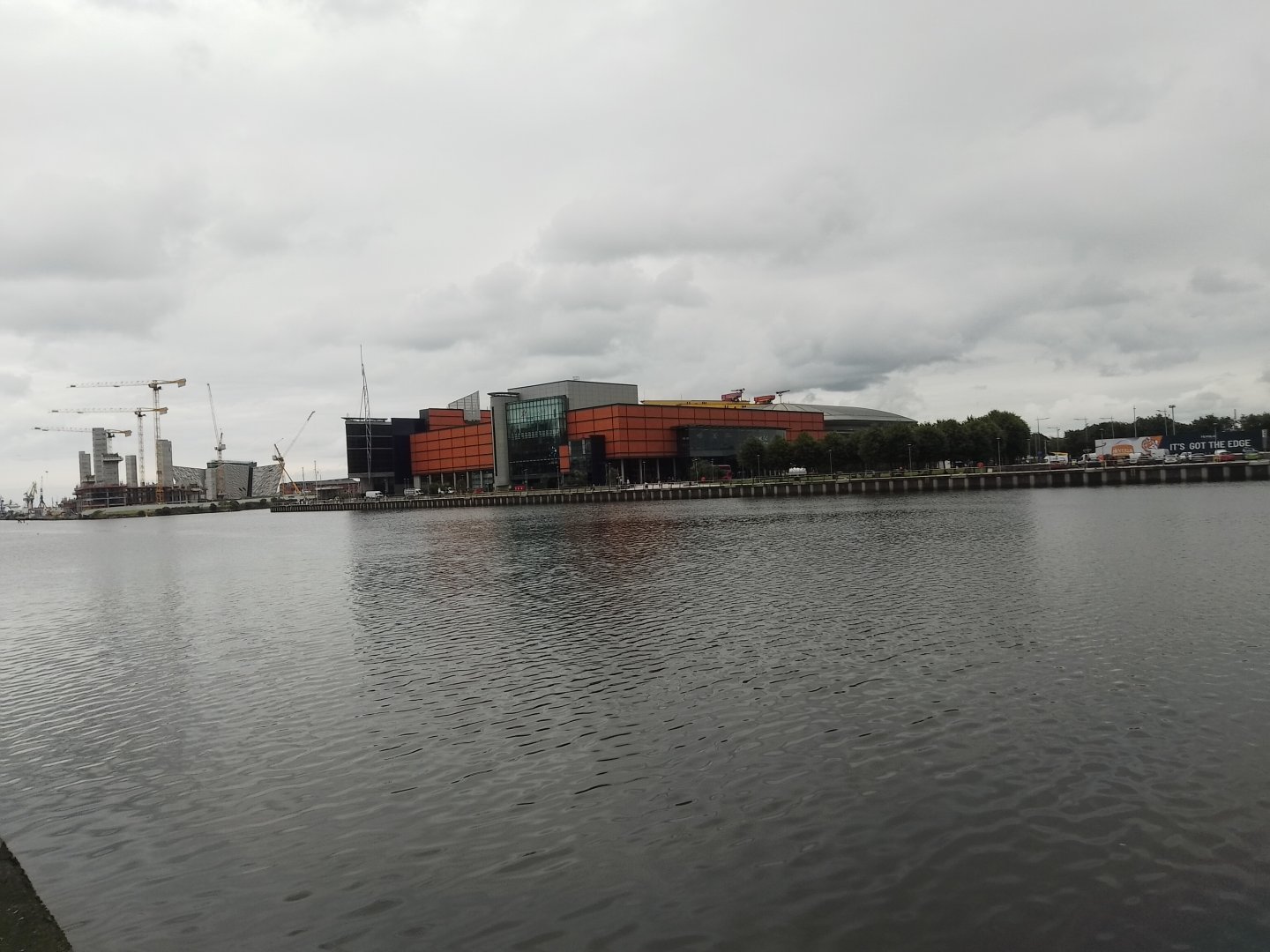 IMG_20240725_134302.jpg