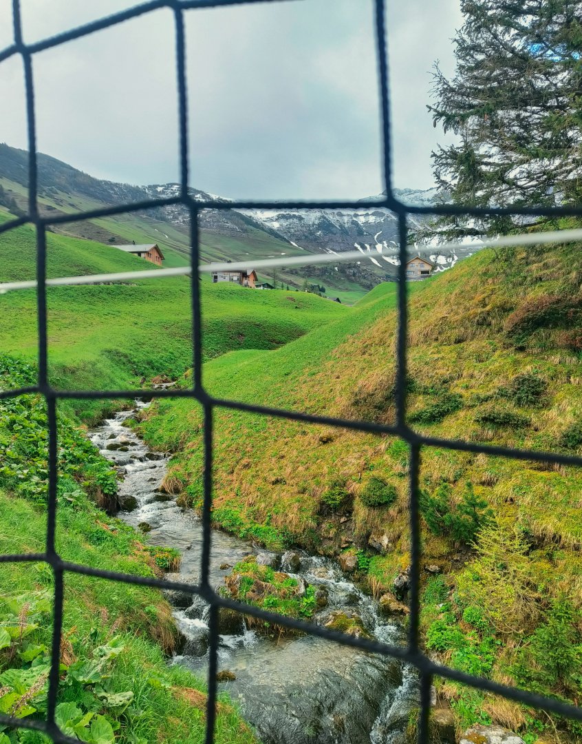 Dofoto_20250520_163501336.jpg