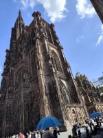 IMG_20250529_111728.jpg