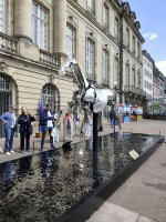 IMG_20250529_111150.jpg