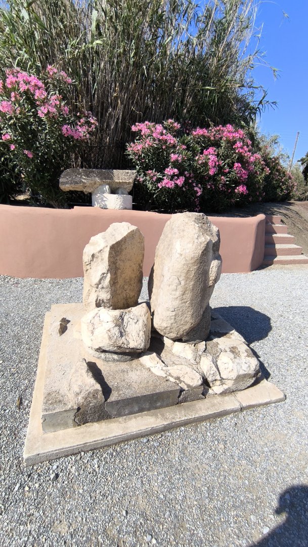 164.jpg